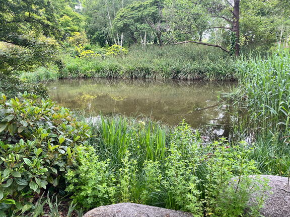 23-05-16 12-58-44 5407